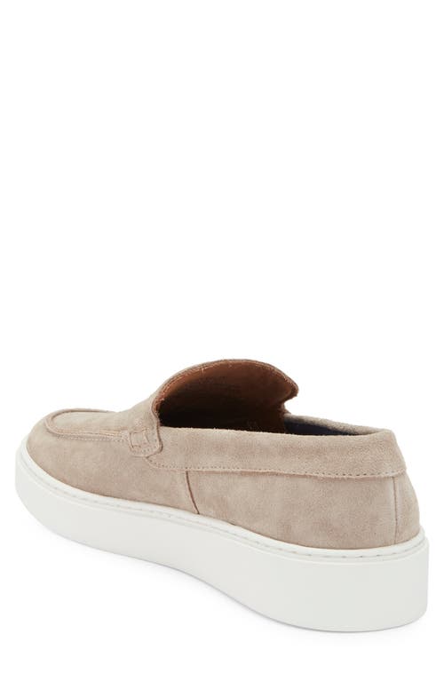 Steve Madden Gatlin Slip-on In Brown