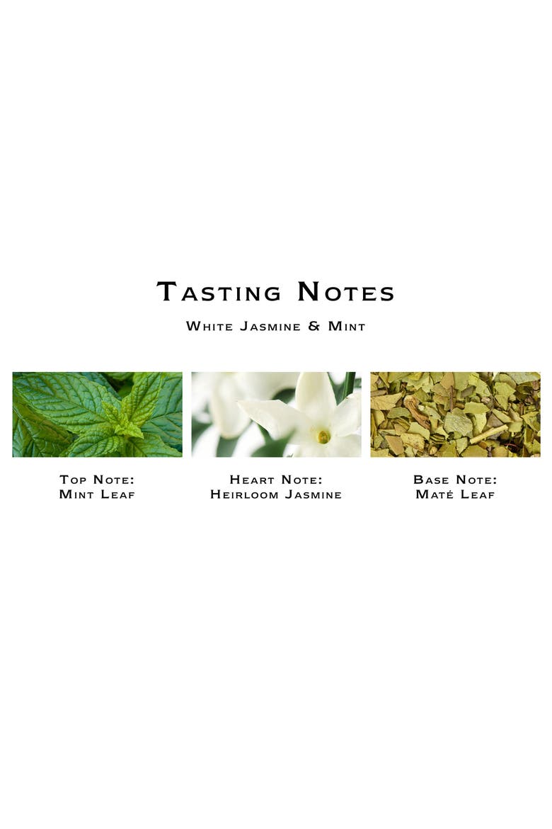 London™ White Jasmine & Mint Cologne, Alternate, color, NO COLOR