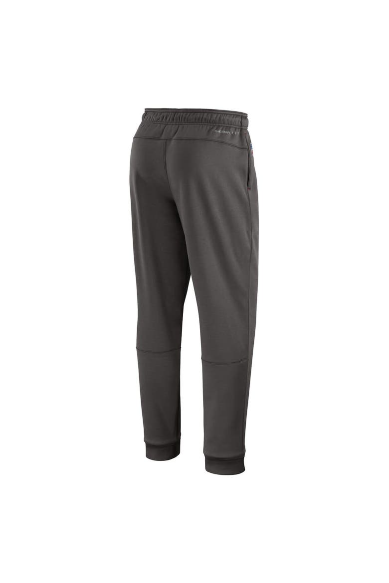 Men's Nike Pewter Tampa Bay Buccaneers Sideline Logo Performance Pants, Alternate, color, Pewter
