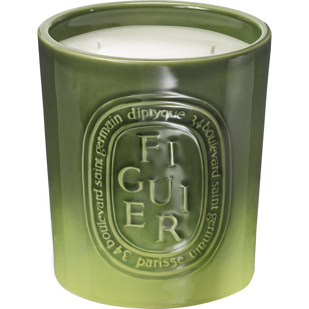 Diptyque Figuer Candle In Green