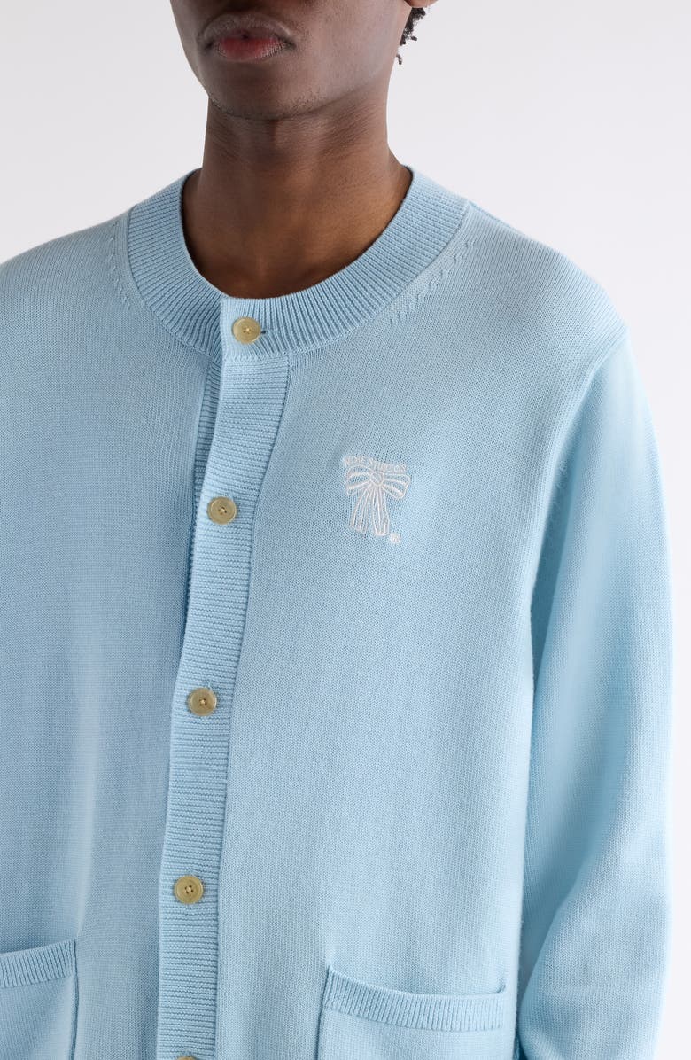 Acne Studios Kadave Merino Wool Cardigan, Alternate, color, Ice Blue