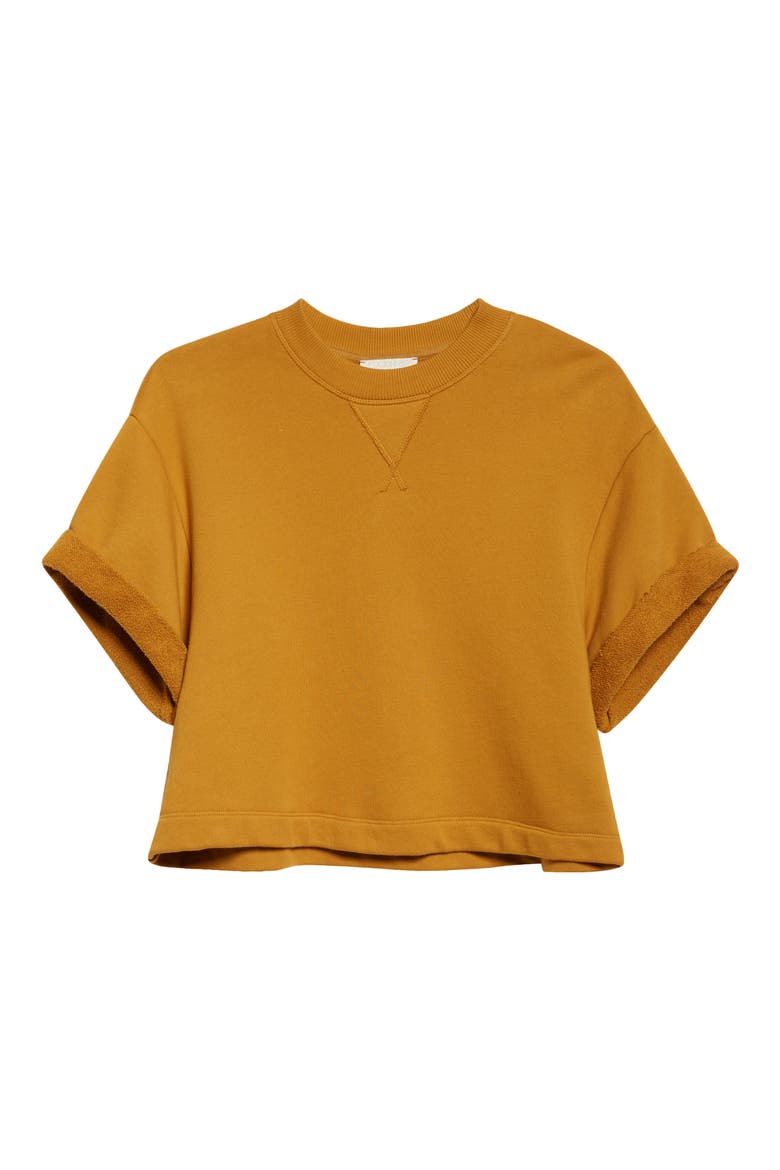 Cove Short Sleeve Cotton Sweatshirt, Alternate, color, TOURMALINE