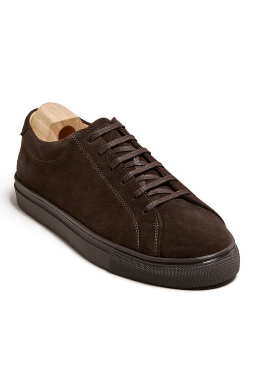 Myrqvist Oaxen Ii Sneakers In Brown