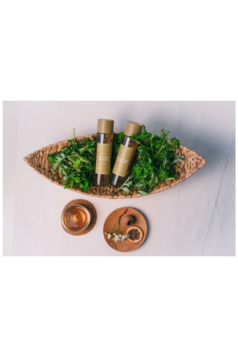 Mugwort Essence | Nordstrom