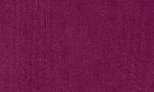 Free People You Wish Tie Waist Sweatpants In Purple