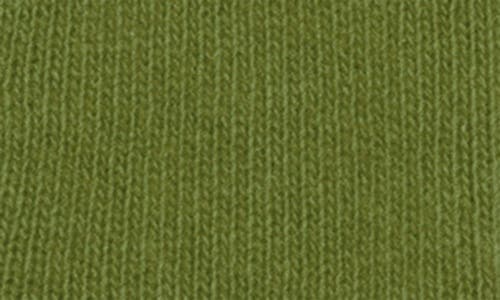 Portolano Solid Cashmere Scarf In Green