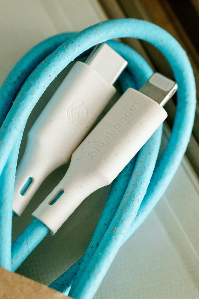 The Companion USB-C to Lightning 4FT Charging Cable, Alternate, color, Blue