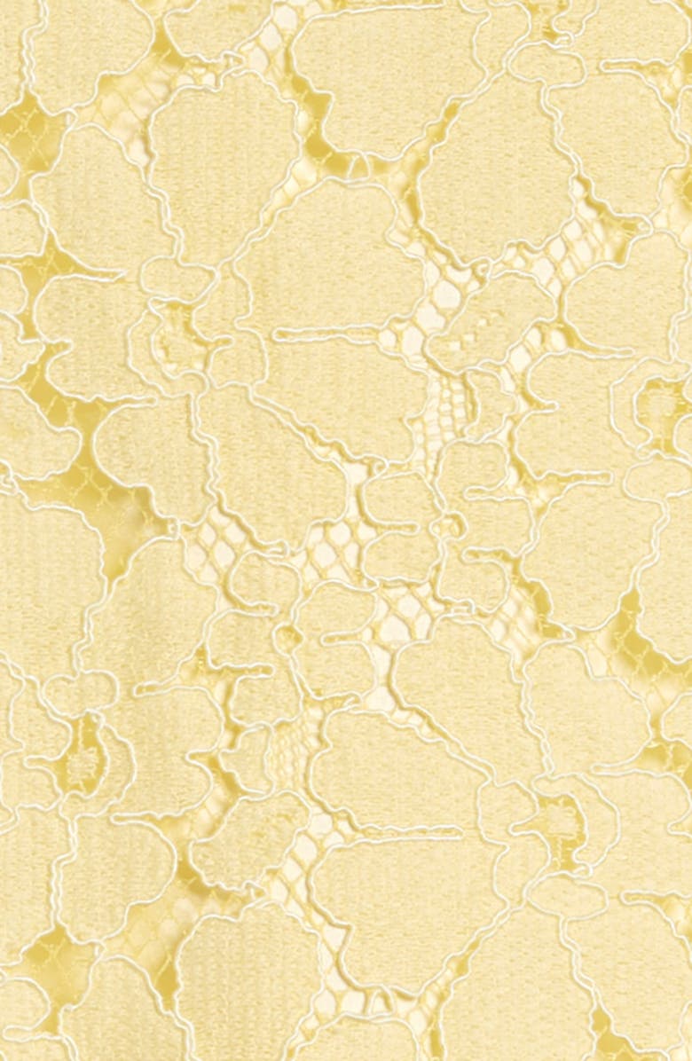 Rachel Parcell Lace Shift Dress, Alternate, color, 