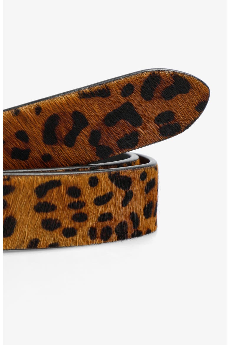 Animal Belt Girls, Alternate, color, Leopard