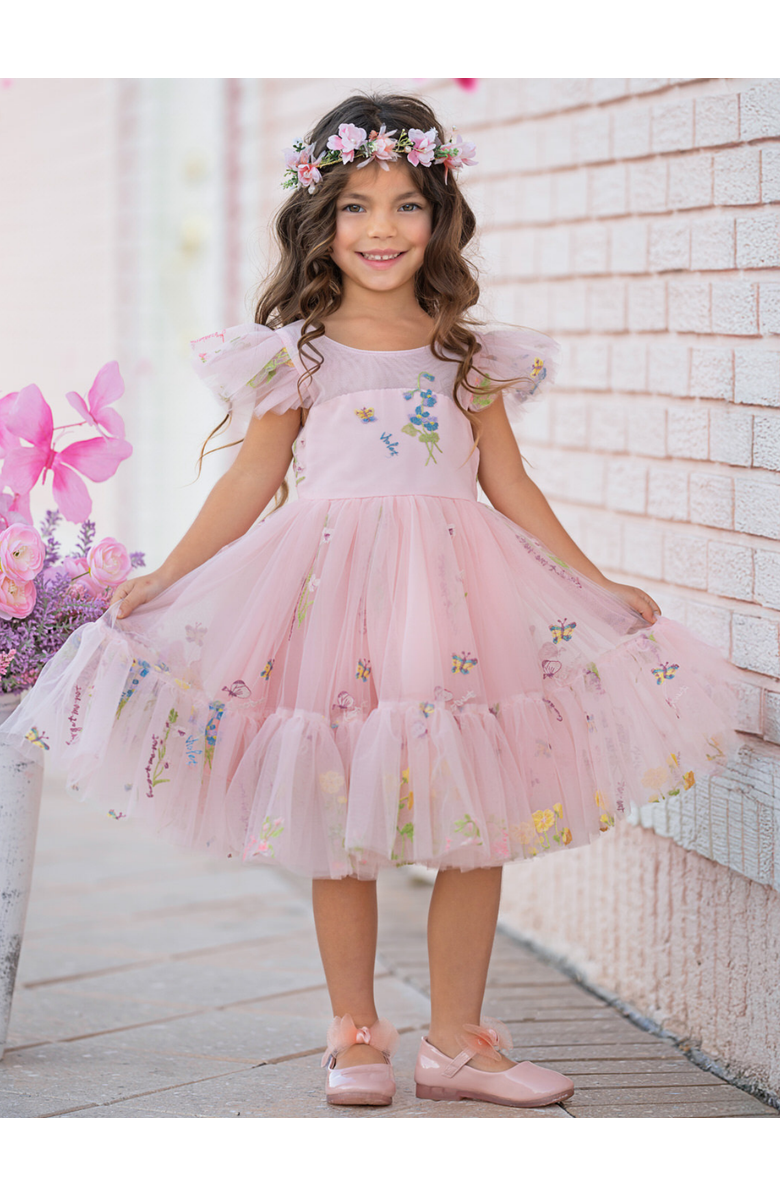 Mia Belle Girls Girls Blush Fairy Garden Embroidered Floral Tutu Dress, Alternate, color, Pink