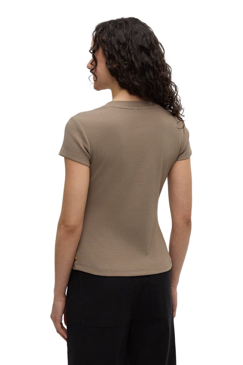 Pinewood T-Shirt, Alternate, color, Clay