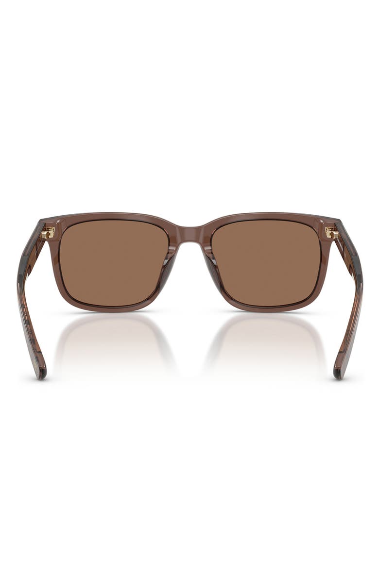 Brooks Brothers 55mm Square Sunglasses, Alternate, color, Brown / Brown