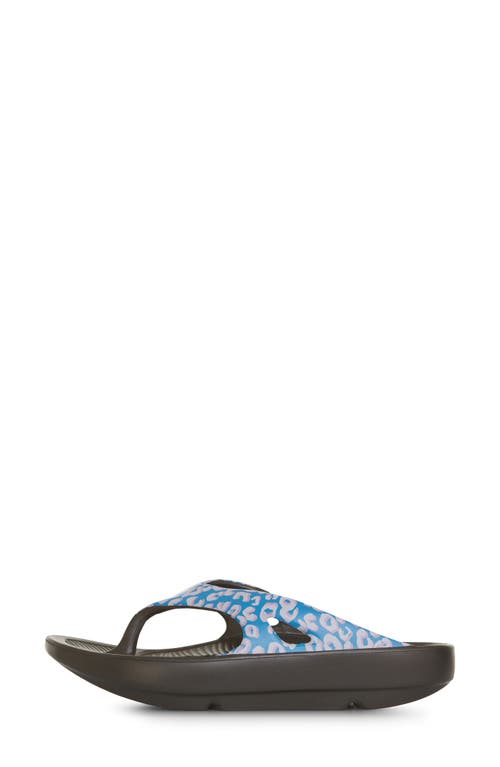 Floopi Blair Comfort Flip Flop