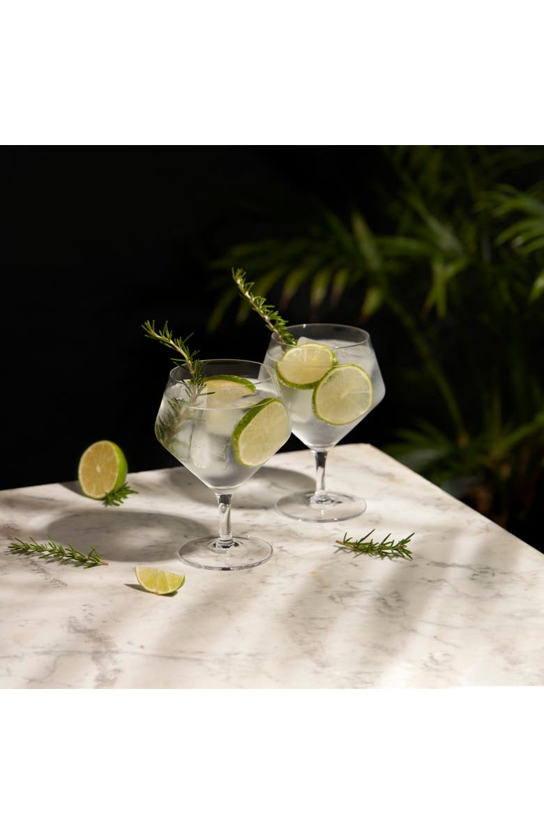 Viski Raye Crystal Angled Gin & Tonic Glasses Set of 2, Alternate, color, Clear