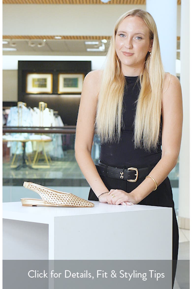 Brielle Pointed Toe Slingback Flat video