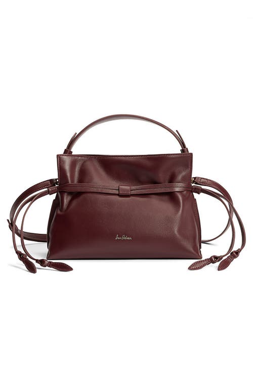 Sam Edelman Small Poppy Drawstring Leather Crossbody Bag In Burgundy