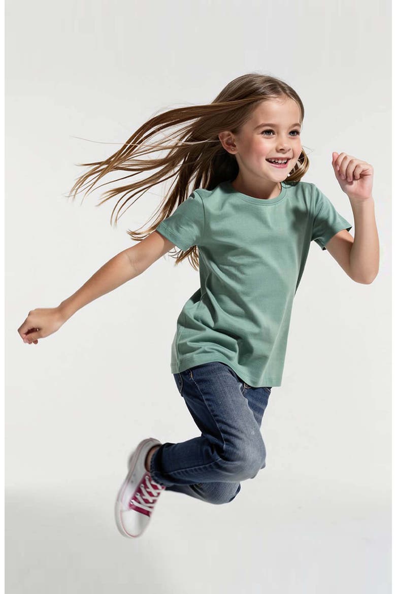 Organic Cotton Short Sleeve Ribbed Scoop Neck Tee, Alternate, color, Willow