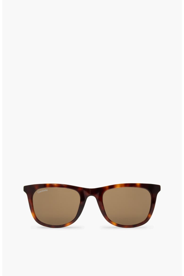 Sunglasses Old Town, Main, color, Brown