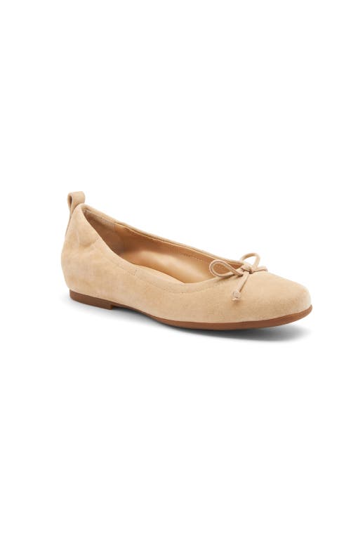 Abeo Cadence Bow Ballet Flat In Cuban Sand Suede - Metatarsal