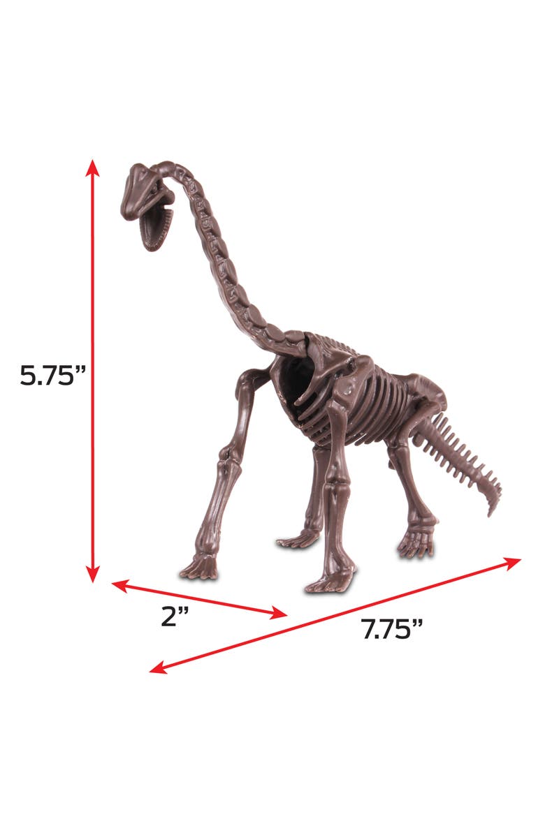 WowWorld Dino Dig Brachiosaurus Skeleton Excavation Kit, Ages 6+, Alternate, color,