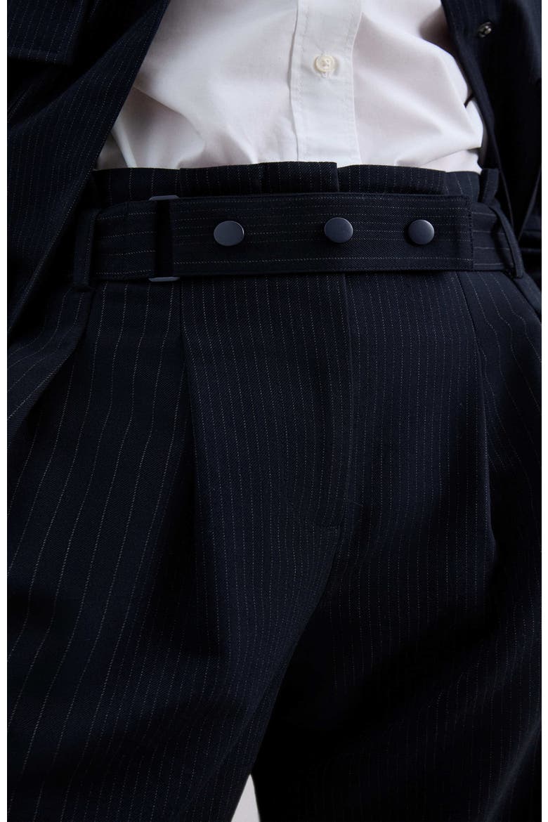 Beltpocket Pant, Alternate, color, Navystripes