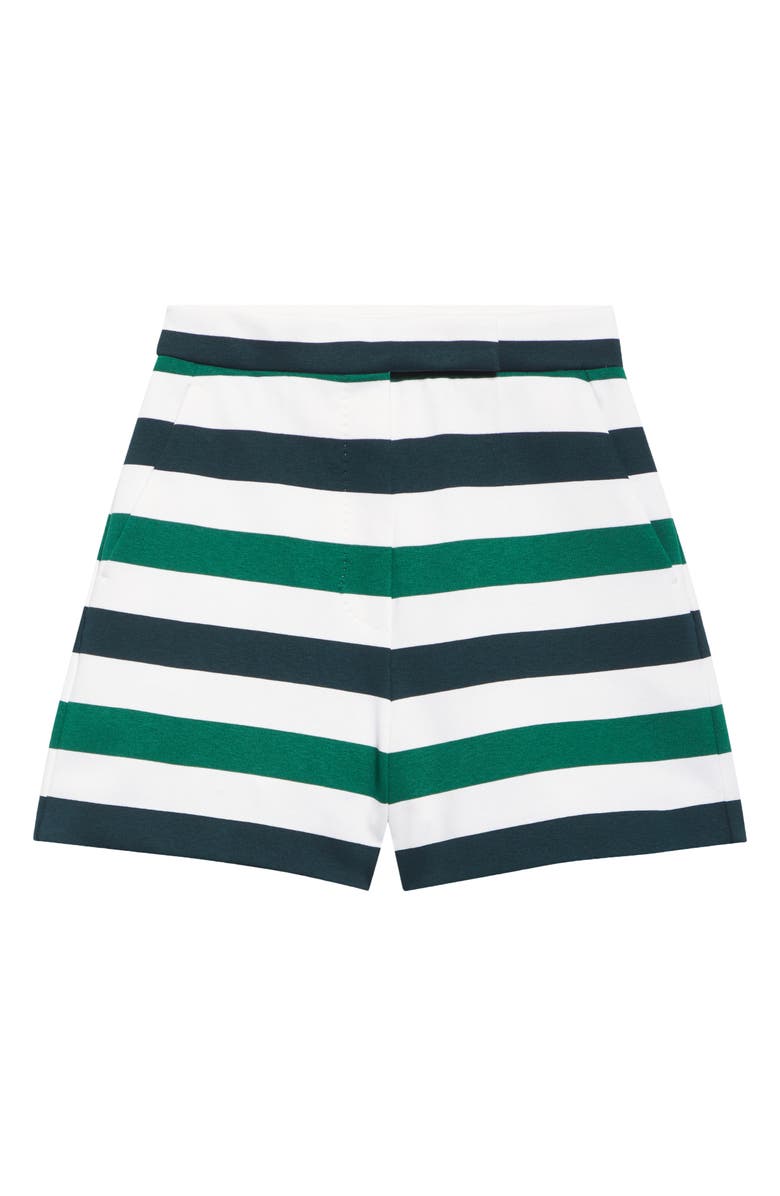 Max Mara Nelson Multistripe Jersey Shorts, Alternate, color, Green Multicolored Stripe