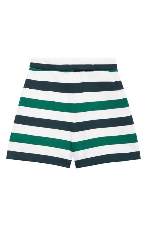 Max Mara Nelson Multistripe Jersey Shorts In Multi