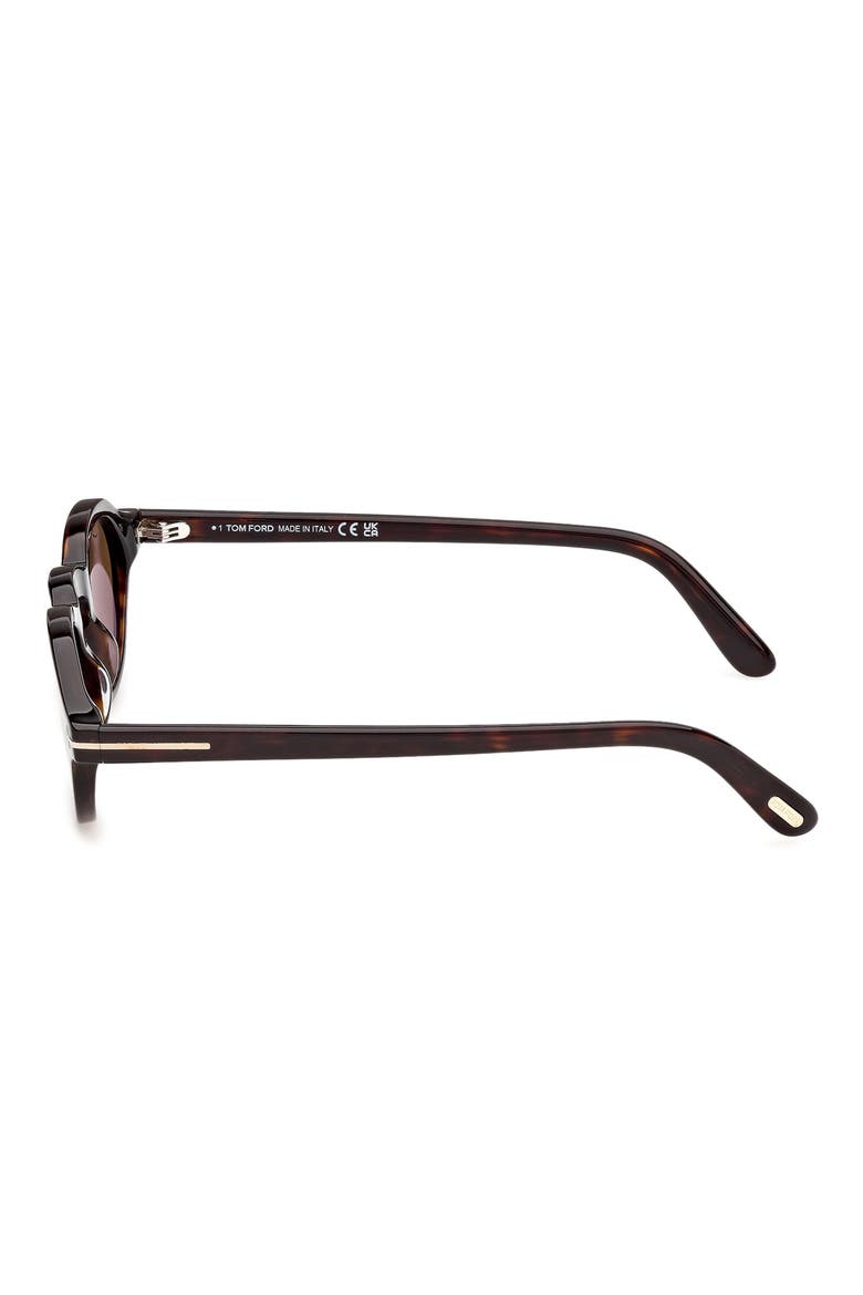 Aristotele 48mm Small Oval Sunglasses, Alternate, color, DARK HAVANA / ROVIEX