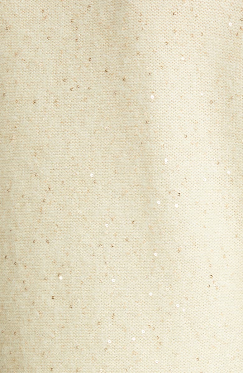 Fabiana Filippi Sequin Turtleneck Sweater, Alternate, color, 