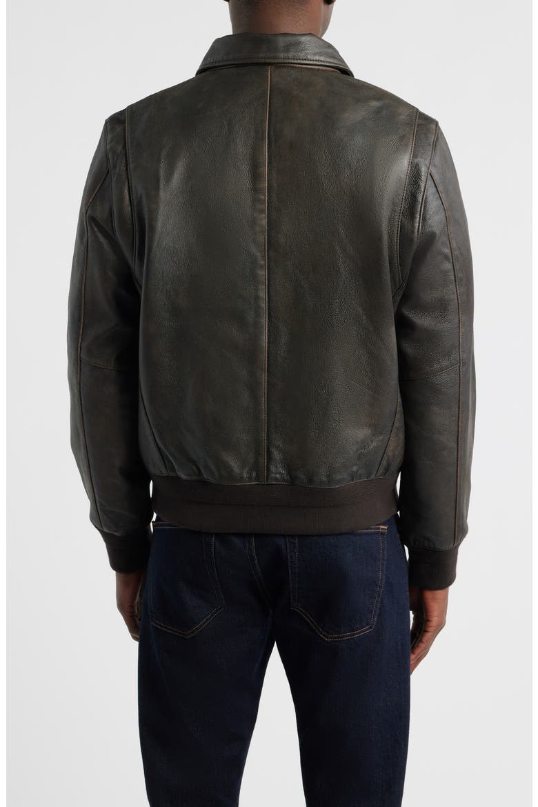 Charles Leather Jacket, Alternate, color, ADVENTURE