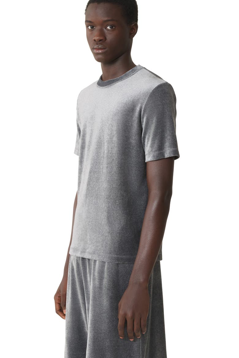 Velvet T-Shirt, Alternate, color, Dark Grey