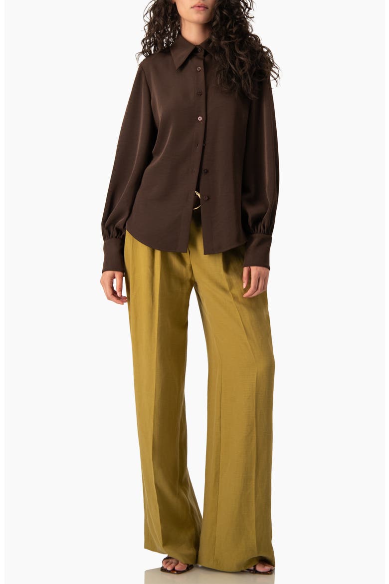 Long-Sleeve Puff-Sleeve Point-Collar Button-Front Shirt, Alternate, color, Brown