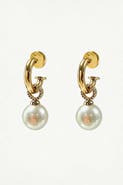 Classicharms Sia Shell Pearl Drop Hoop Earrings