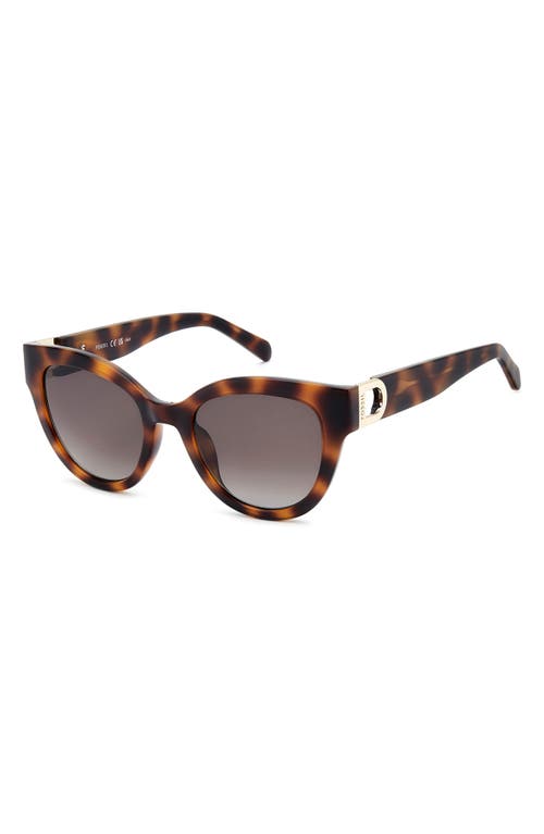 Fossil 52mm Cat Eye Sunglasses In Brown