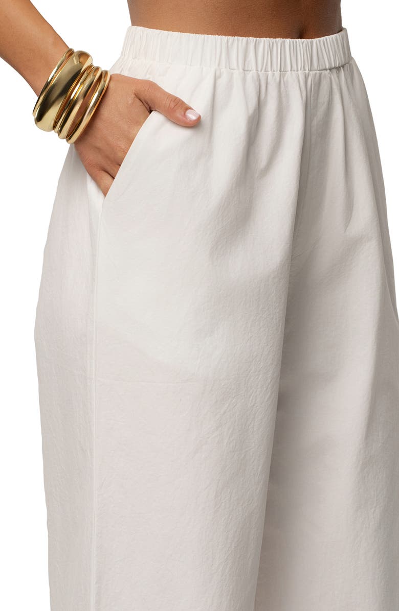 JLUXLABEL Leon Pleated Wide Leg Pants, Alternate, color, Ivory