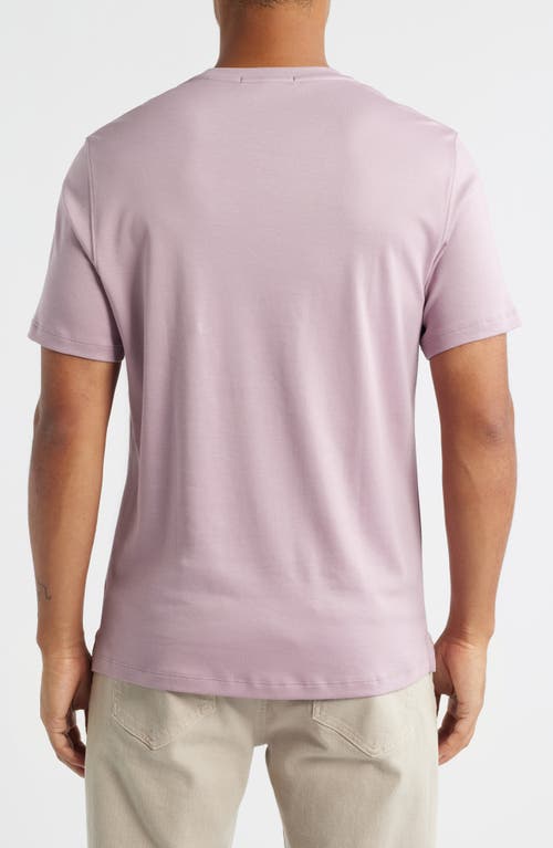 Robert Barakett Georgia Pima Cotton T-shirt In Purple