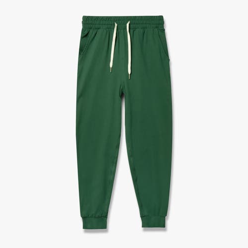 Feat Roam Jogger In Huntergreen