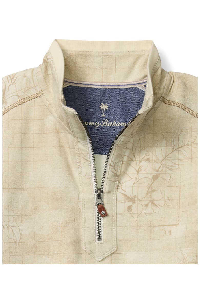 Ben & Terry Tropic Half Zip Pullover, Alternate, color, CHINCHILLA