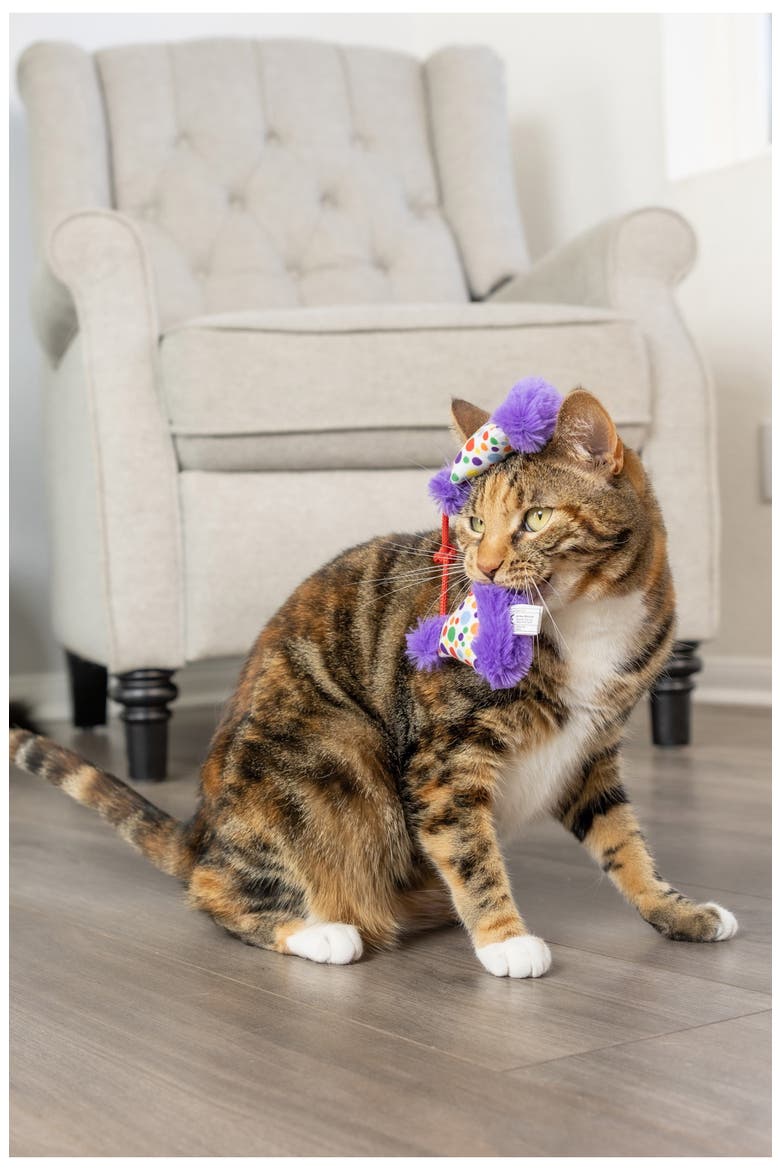 2-Pack Cat Party Hat Toys, Alternate, color, PURPLE