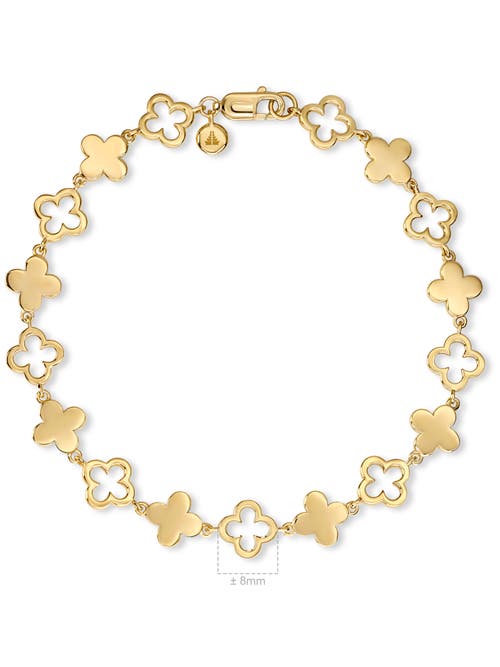 Devata Clover Chain Bracelet In Gold