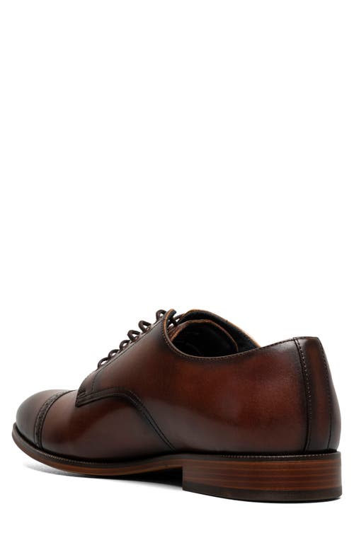 Stacy Adams William Cap Toe Oxford In Brown
