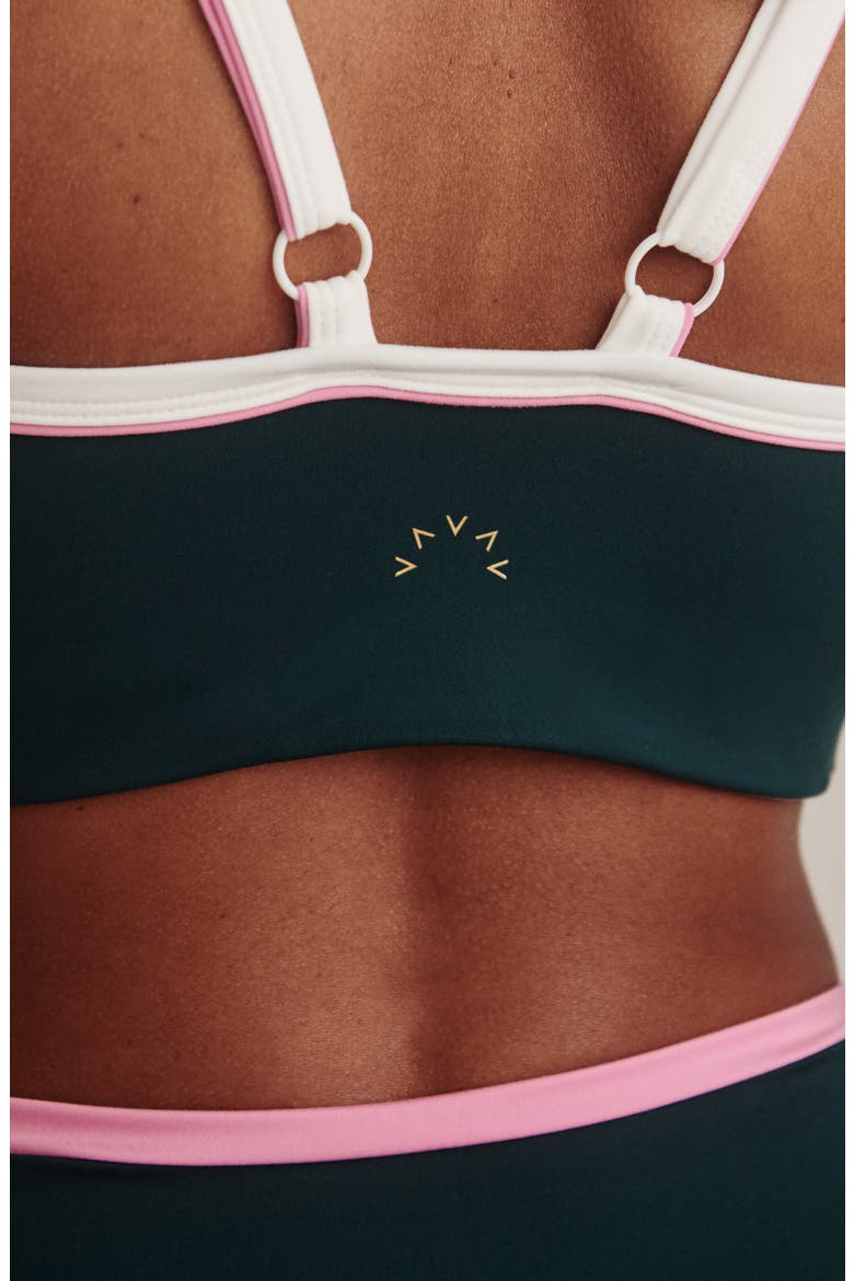 FreeSoft Piper Sports Bra, Alternate, color, PONDEROSA PINE