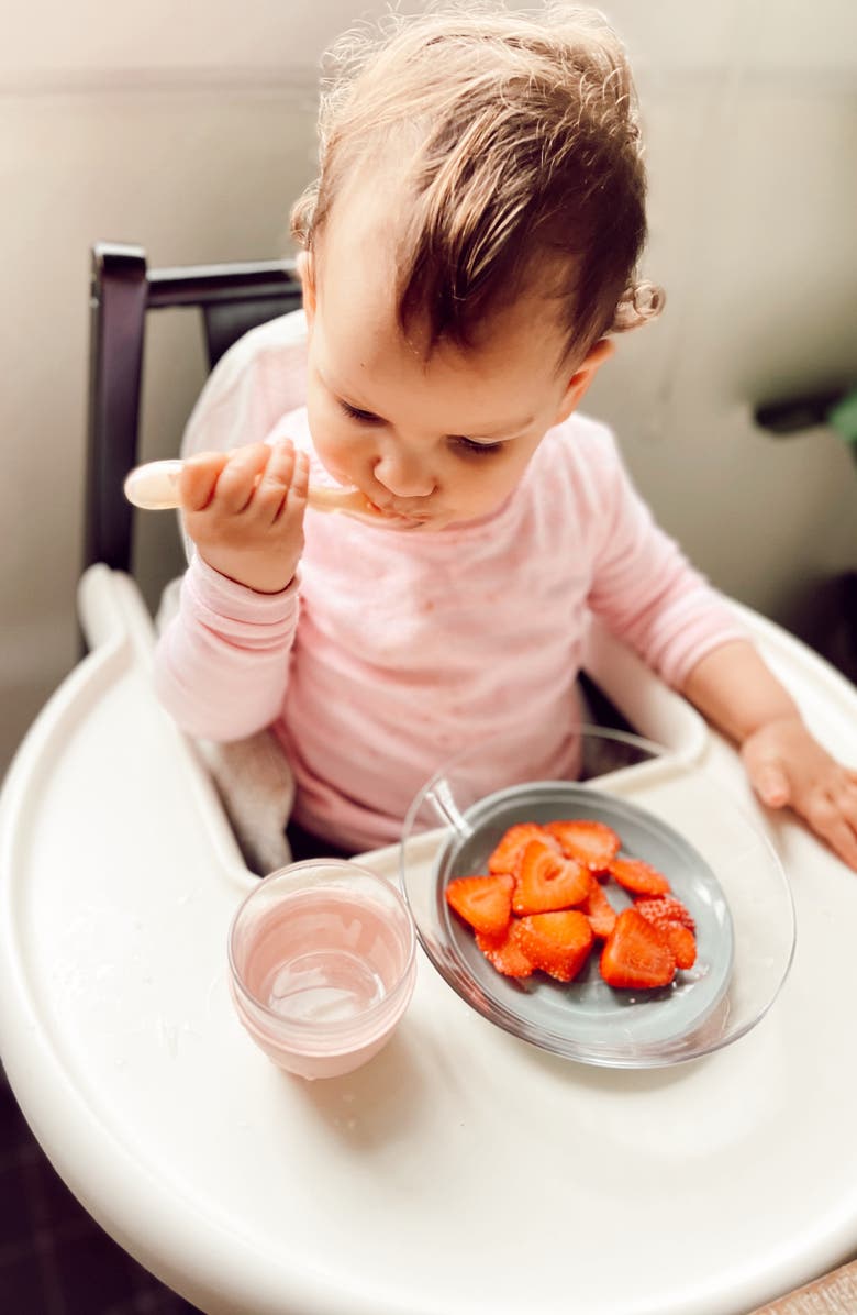 BEABA Glass Meal Set with Suction Pads, Alternate, color, Eucalyptus