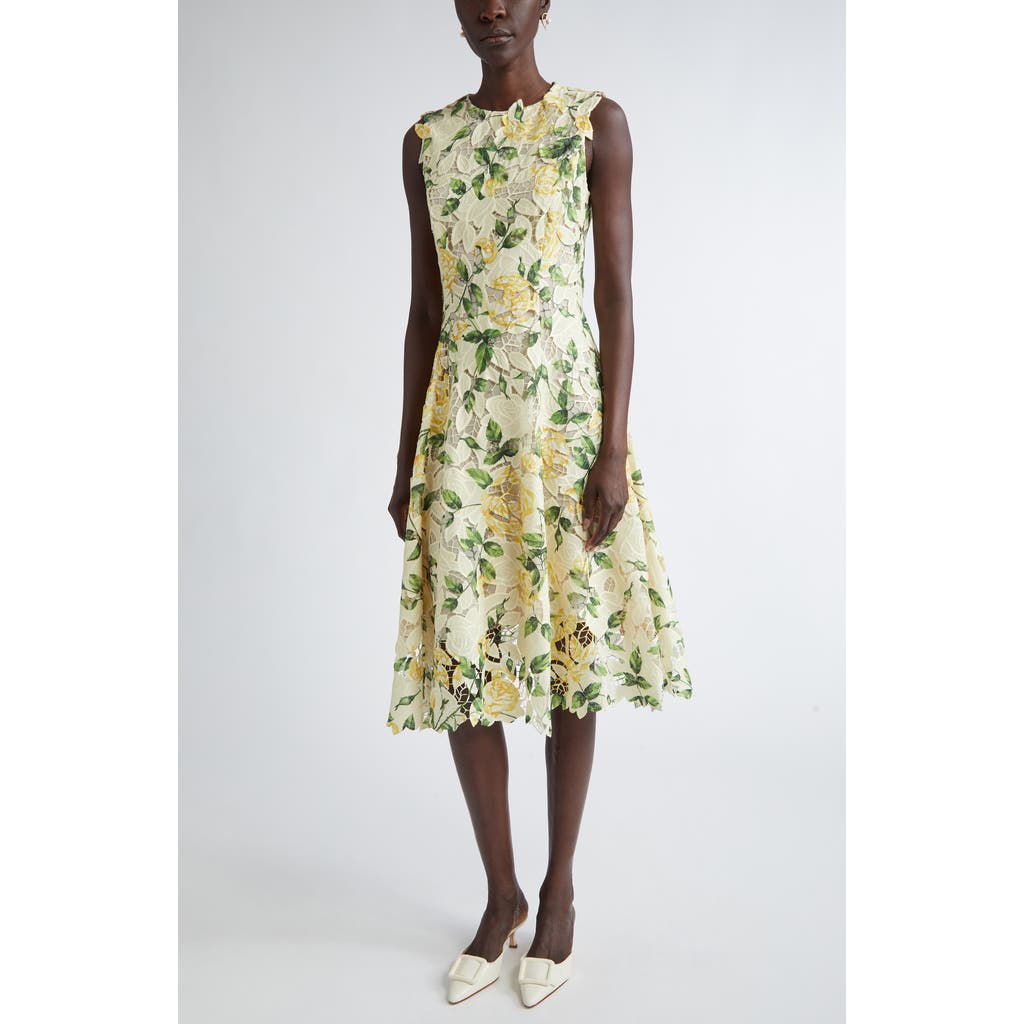 Oscar De La Renta English Rose Guipure Lace Fit & Flare Dress In Yellow/soft Yellow