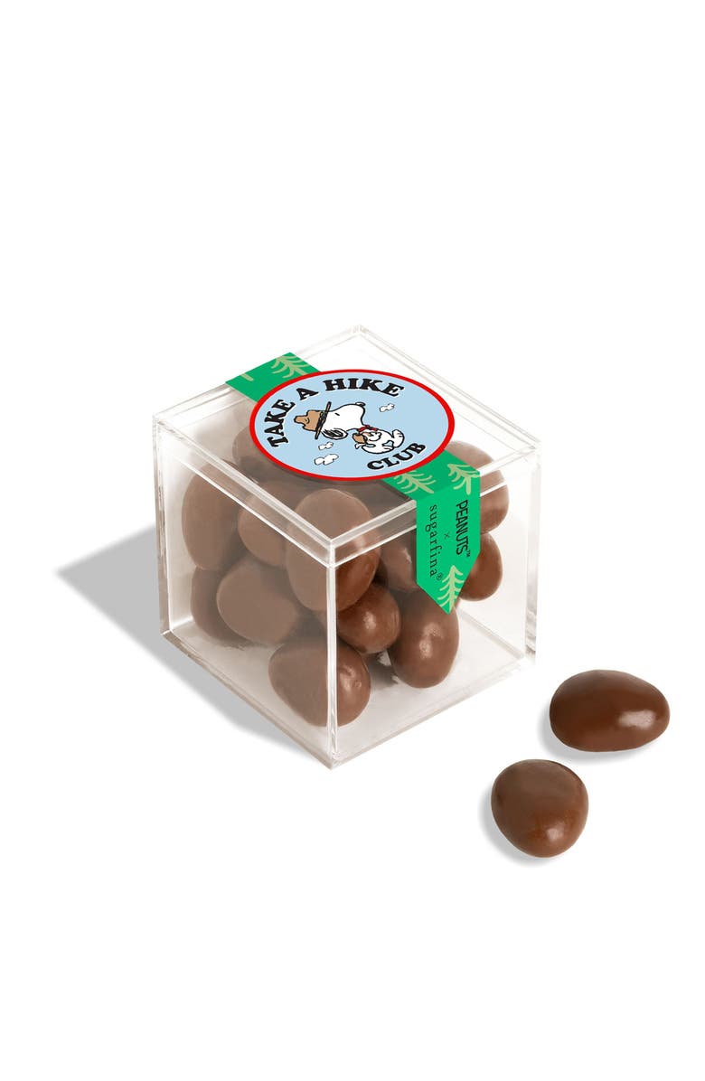 sugarfina x Peanuts Chocolate Biscuits Set of 4 Candy Cubes, Alternate, color, 