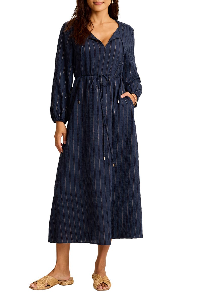 Metallic Stripe Long Sleeve Maxi Dress, Main, color, COASTLINE