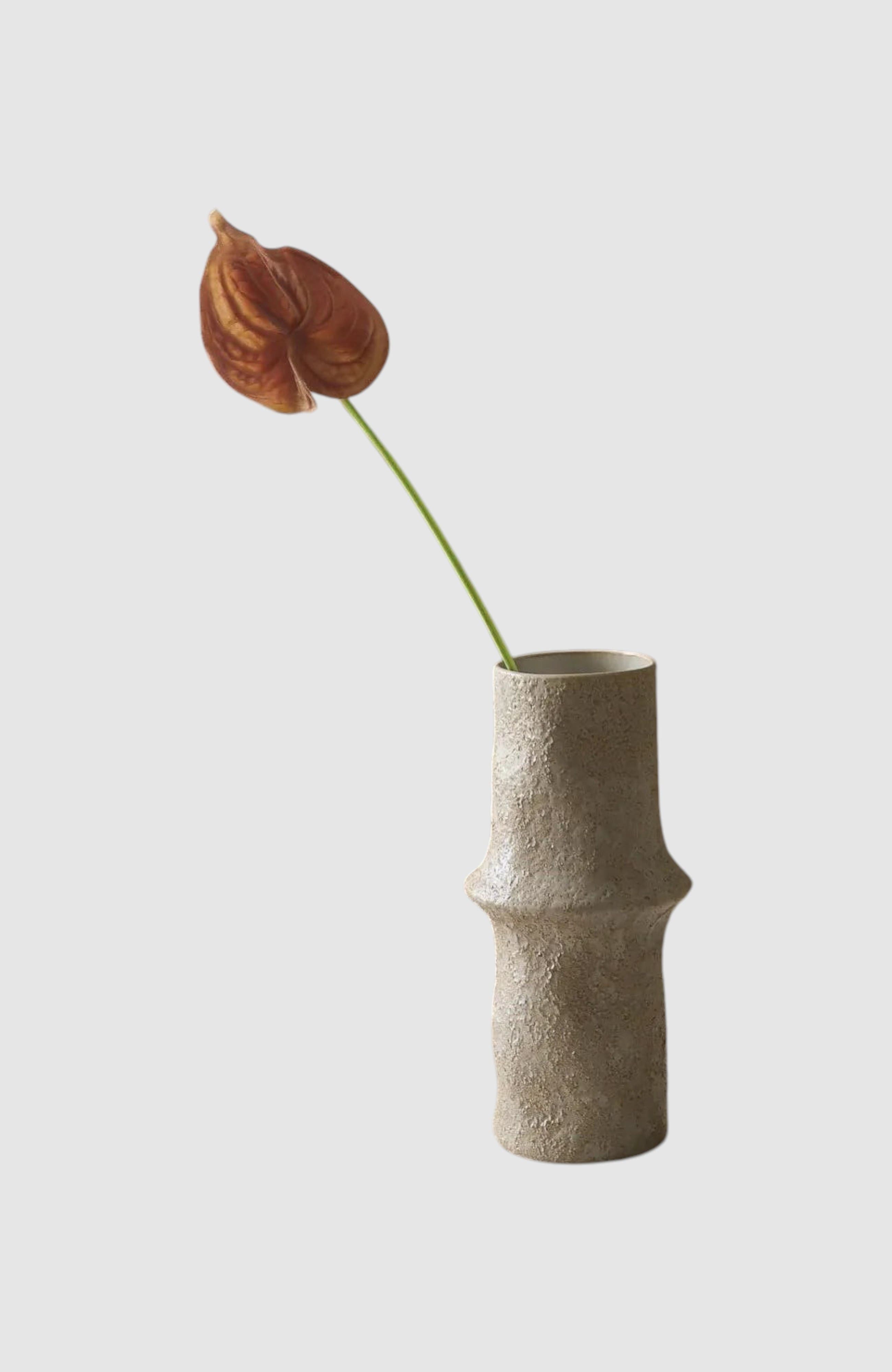 selected Rose