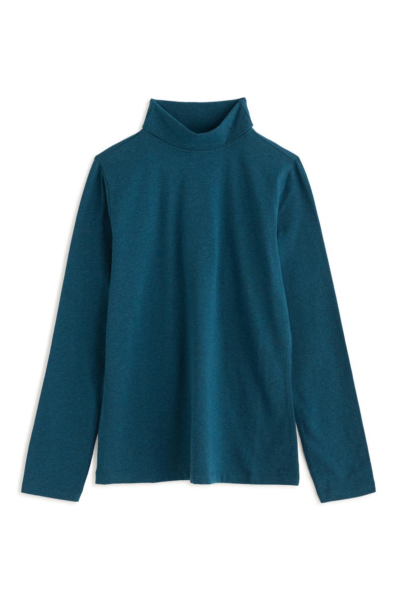 Landing Organic Cotton Blend Roll Neck Top, Alternate, color, RAINCLOUD