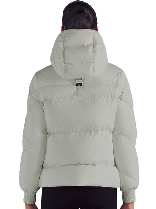 Triple F.a.t. Goose Puffer Down Jacket In Gray