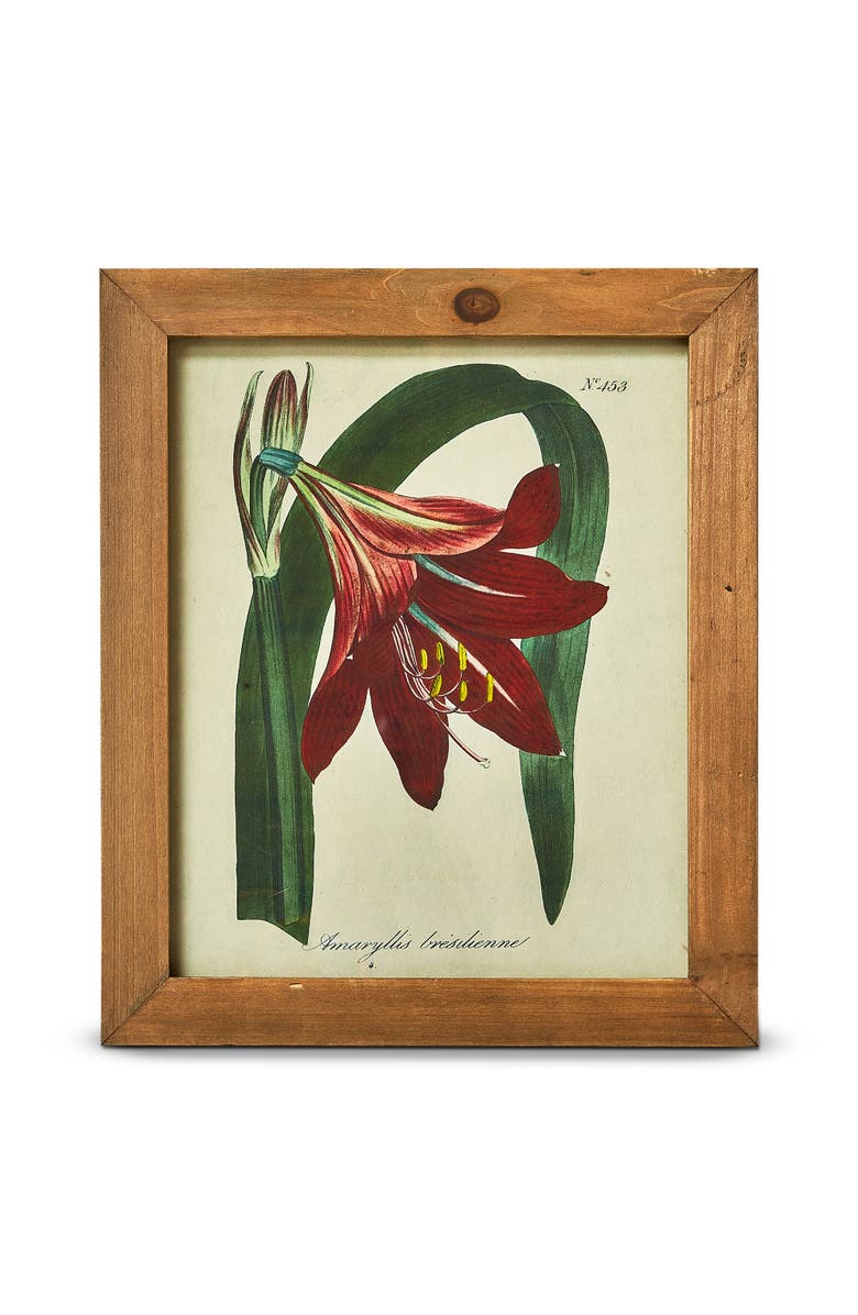 tag Amaryllis Vintage Wall Art Multicolor Decorative Home Accent, Main, color, 